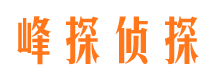 桦川商务调查